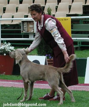 Nova at Melbourne Royal 2001