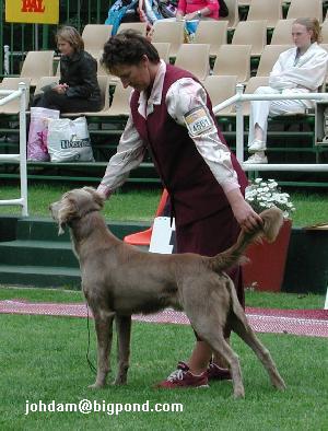 Stryka at Melbourne Royal 2001