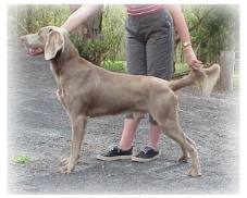 Stryka